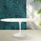Saarinen Tulip uitschuifbare tafel H 74 cm in Florim Calacatta Gold Gloss keramiek - Scharlakenrood Viadurini