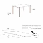 Keukentafel in mat glas met metalen structuur Made in Italy - Broche Viadurini