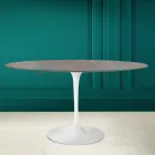 Tulp Tafel Eero Saarinen H 73 Ovaal in Keramiek Pietra Grijs Made in Italy - Scarlet Viadurini