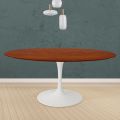 Tulp Tafel Eero Saarinen H 74 Rond in Kersen gebeitst Eiken Made in Italy - Scarlet
