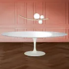 Eero Saarinen Tulip Tafel H 74 Ovaal in vloeibaar laminaat Gemaakt in Italië - Scharlakenrood Viadurini