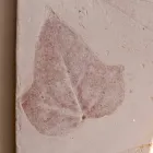 Toscaanse Vivaldi terracotta wandlamp gemaakt in Italië Viadurini