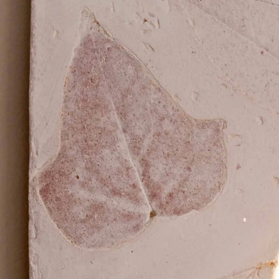 Toscaanse Vivaldi terracotta wandlamp gemaakt in Italië Viadurini