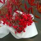 Decoratieve designvaas in Bardiglio of Carrara-marmer Gemaakt in Italië - Prisma Viadurini