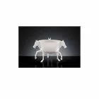 Siervaas voor binnen in wit keramiek of 24-karaats goud gemaakt in Italië - Jacky Viadurini