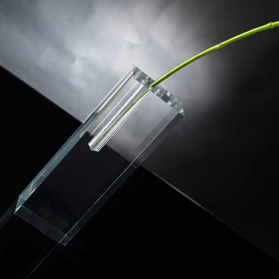 Moderne transparante bloemenvaas van plexiglas Made in Italy - Unique Viadurini